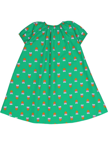 Fred´s World by GREEN COTTON Kurzarmkleid in Grass/lavender/Tangerine