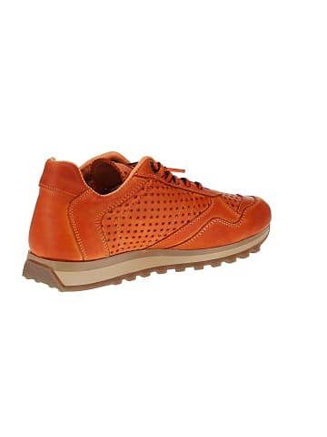 Cetti Sneaker low C-848 SRA in Orange