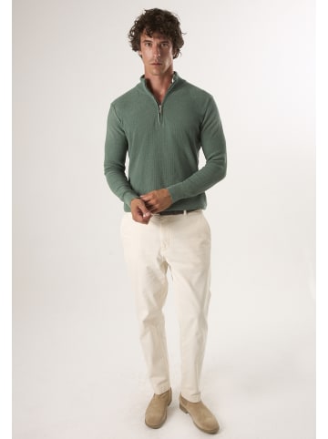 Felix Hardy Pullover in Grün