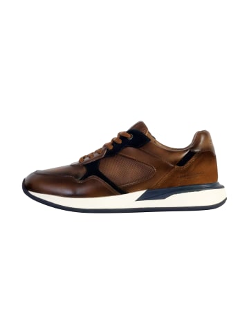 Redskins Niedrige Sneakers aus Paillon-Leder Braun