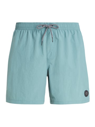 Protest " FASTER in Arcticgreen