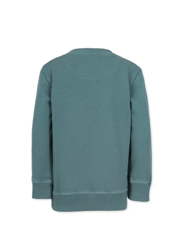 Band of Rascals Sweat " Basic " in sage
