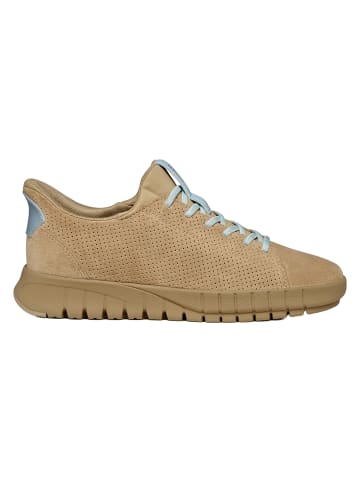 Geox Flextride Plus in Beige