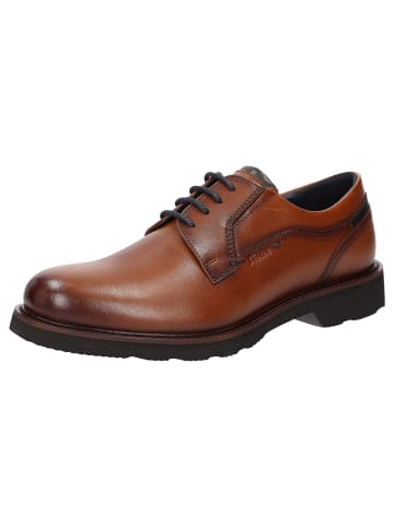 Sioux Schnürschuh Dilip-716-H in cognac