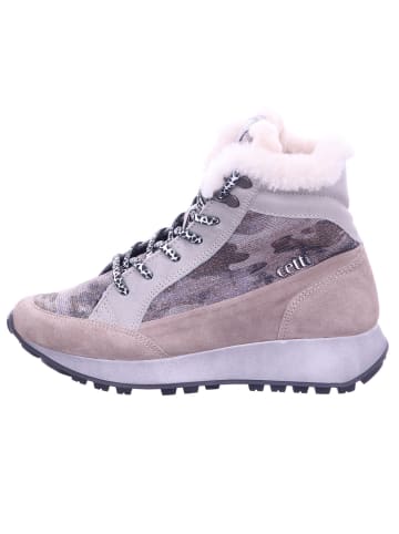 Cetti Schnürstiefelette in beige