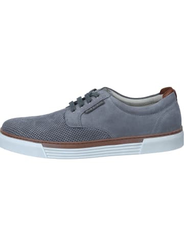 Pius Gabor Sneakers Low in ash