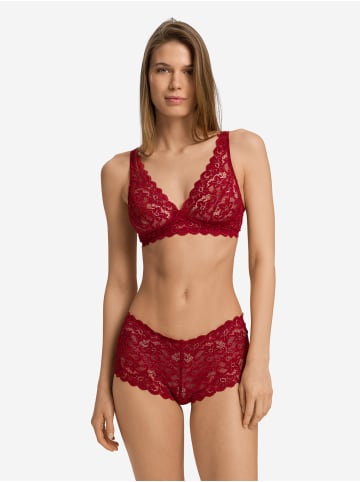 Hanro Soft-BH Moments in red dahlia