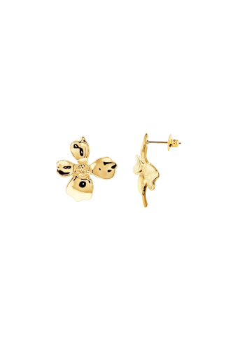 Steel_Art Ohrstecker Frauen Lesedi goldfarben in goldfarben