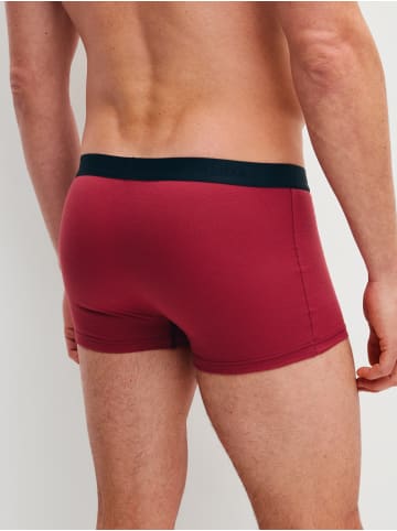 Calida New Boxer, 3er-Pack in garnet