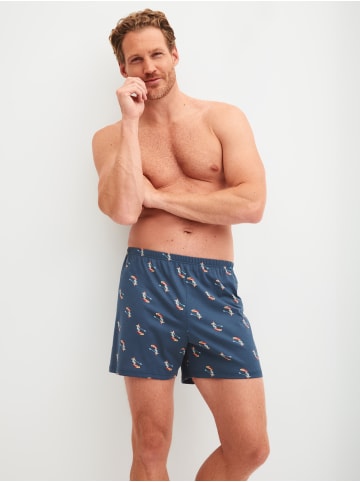 Calida Boxershorts in retro blue