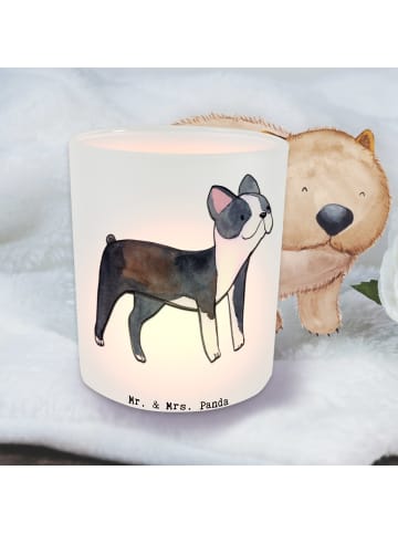 Mr. & Mrs. Panda Windlicht Boston Terrier Lebensretter ohne Spruch in Transparent