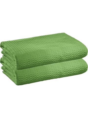 Erwin Müller Baumwolle Sommer-Decke 2er-Pack Siena in apfelgrün