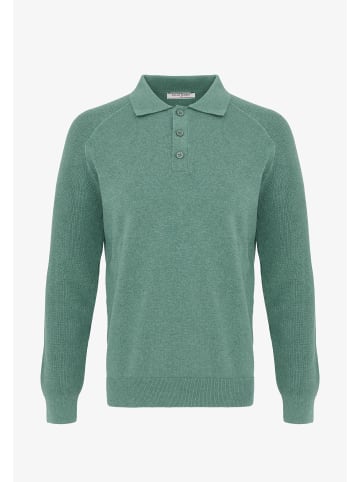 Felix Hardy Pullover in Grün