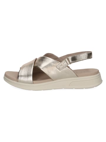 Caprice Sandalette in gold