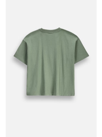 Coccodrillo T-Shirt mit kurzen Ärmeln in khaki