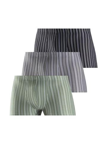 LE JOGGER Boxer in salbei/anthrazit/schwarz-gestreift