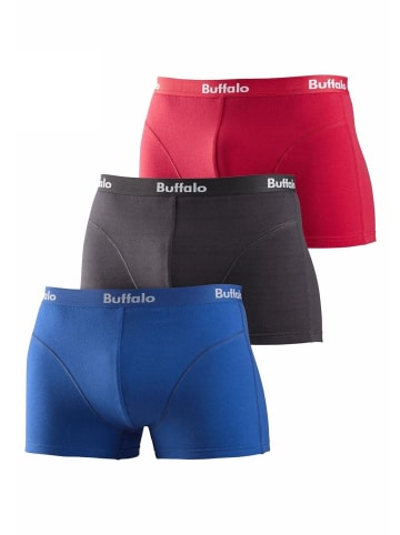 Buffalo Boxer in rot, royalblau, anthrazit