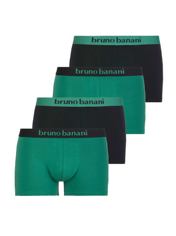 Bruno Banani Retro Short / Pant Flowing in Grün / Schwarz
