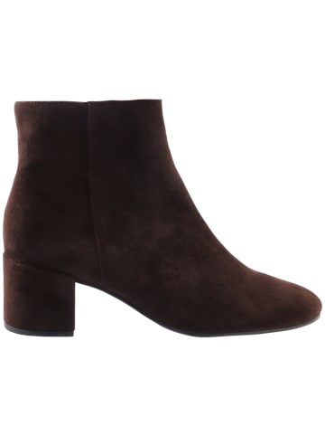 Högl Stiefelette in braun