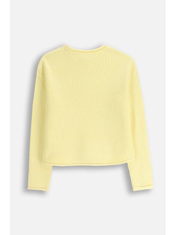 Coccodrillo Pullover in gelb