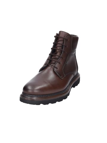 LLOYD Winterboot in schwarz