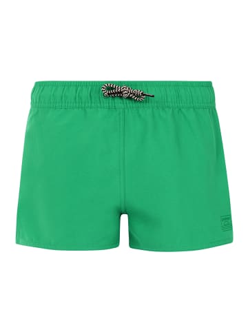 Protest " PRTEvi JR in Jardin Green