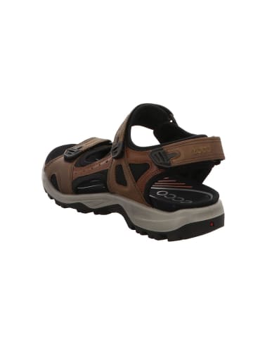 Ecco Outdoorsandalen Offroad in espresso/cocoa brown/black