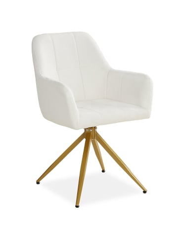 Homestyle4u Polsterstuhl 2er Set in Beige