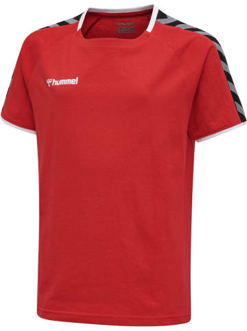 Hummel Hummel T-Shirt Hmlauthentic Multisport Kinder in TRUE RED