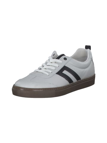 palado Sneakers Low in white/black