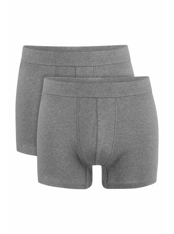 Hessnatur Pants im 2er-Pack in grau