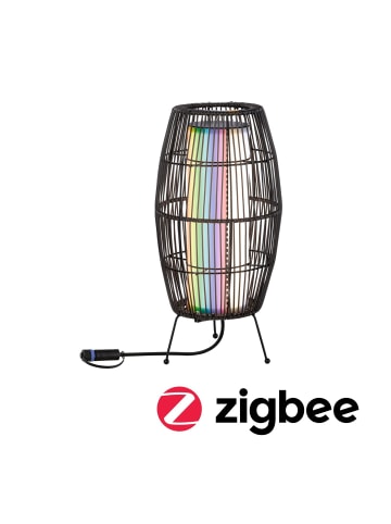 paulmann Outdoor Plug & Shine Basket 40 RGBW ZB IP44