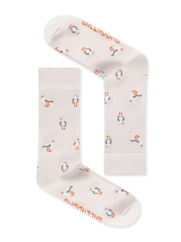 GreenBomb Socks Seagulls 3 in Mix