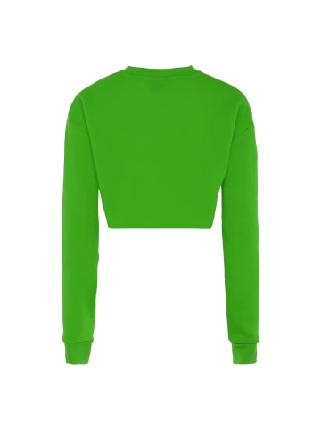 NALLY Sweatshirt in Saftiges Grün