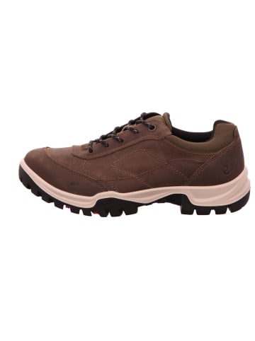 Ecco Schnürschuhe in braun/braun
