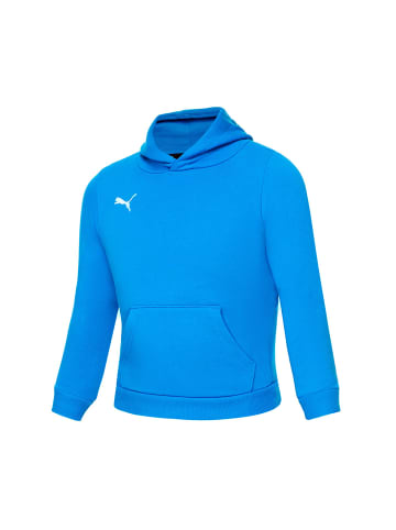 Puma Sweatshirt teamGOAL 23 Casuals Hoody Jr in blau