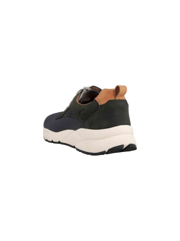 Camel Active Sneaker  in Blau