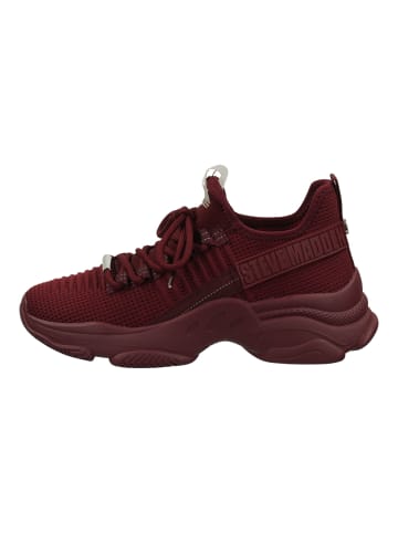 Steve Madden Sneaker in Burgundy