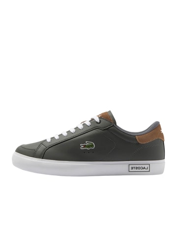 Lacoste Sneaker 'Powercourt' in dunkelgrau