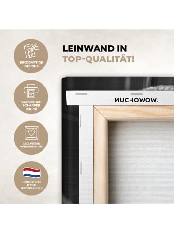 MuchoWow Leinwand bilder Toilettenpapier (BxH)