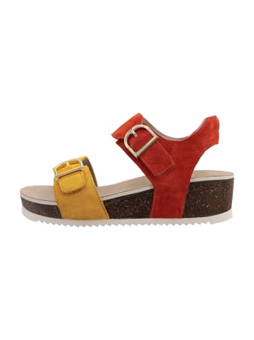 ara Keilsandaletten in Bunt