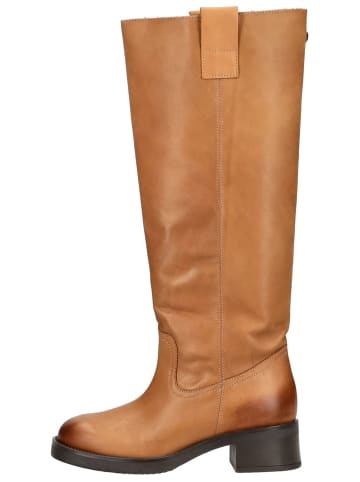 Steve Madden Stiefel in Tan