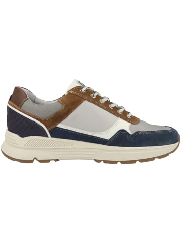 Australian Footwear Sneaker low Connery XT in multicolor