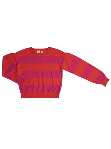 GAP Pullover in Multicolored