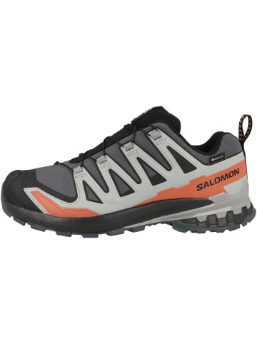 SALOMON Laufschuhe XA PRO 3D V9 GTX in grau