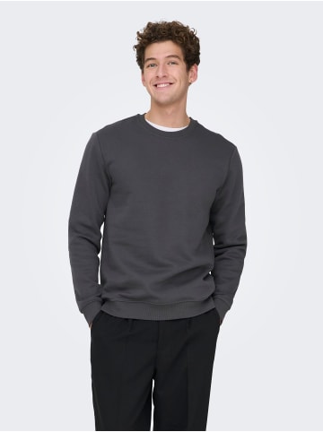 ONLY & SONS Sweatshirt in Grey Pinstripe 1