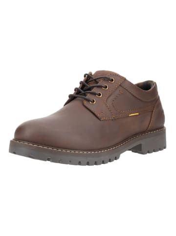 Camel Active Halbschuhe in Cafe
