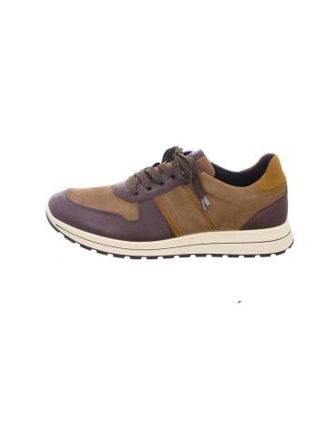 ara Sneaker für Herren in braun