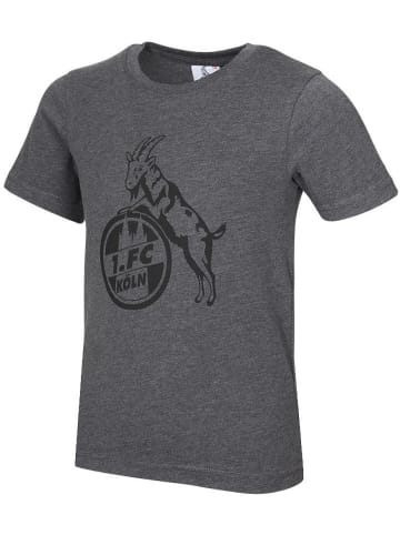 Fußballverein 1. FC Köln Shirt "T-Shirt Basic Anthrazit" in Grau