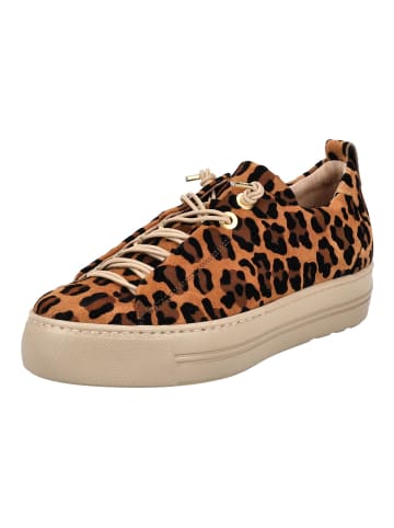 Paul Green Sneaker in Leopard